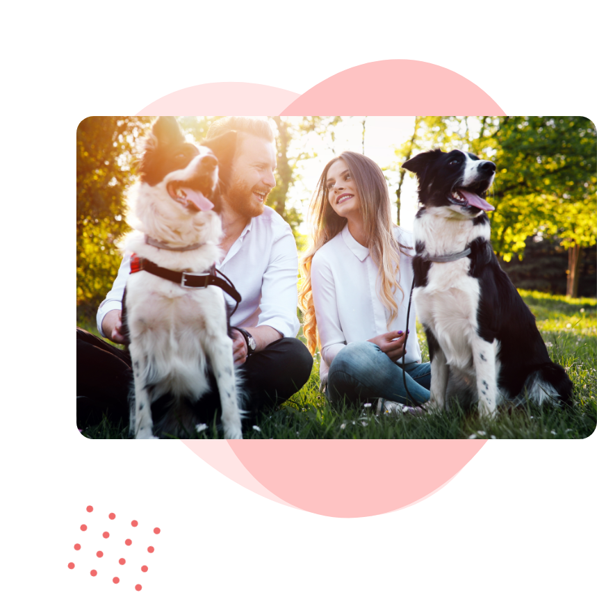 Casal feliz com dois cachorros